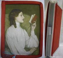 notebook, The secrets of the red book, paper diary