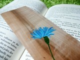 DimDim - Here you find handmade wooden bookmarks.